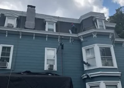 Professional Roofing 3