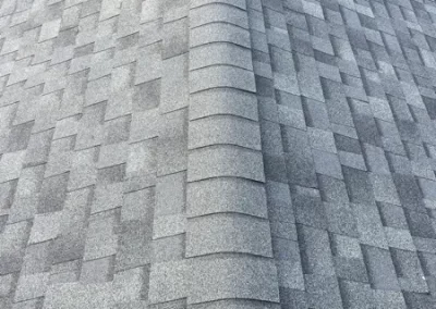 Professional Roofing