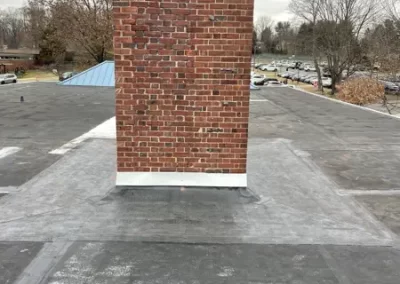 Roof Coating 1